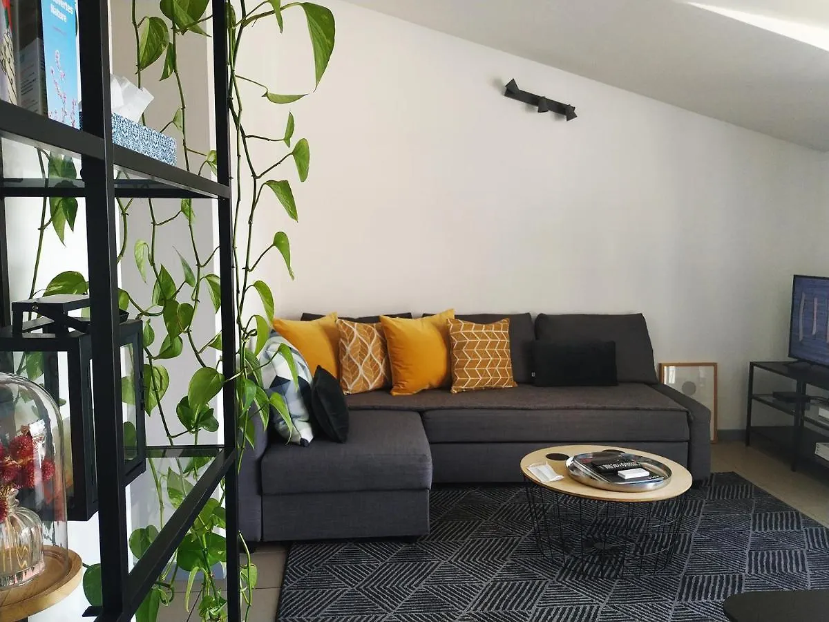 Charming Duplex With Terrace Historical City Center Arles 0*,  France