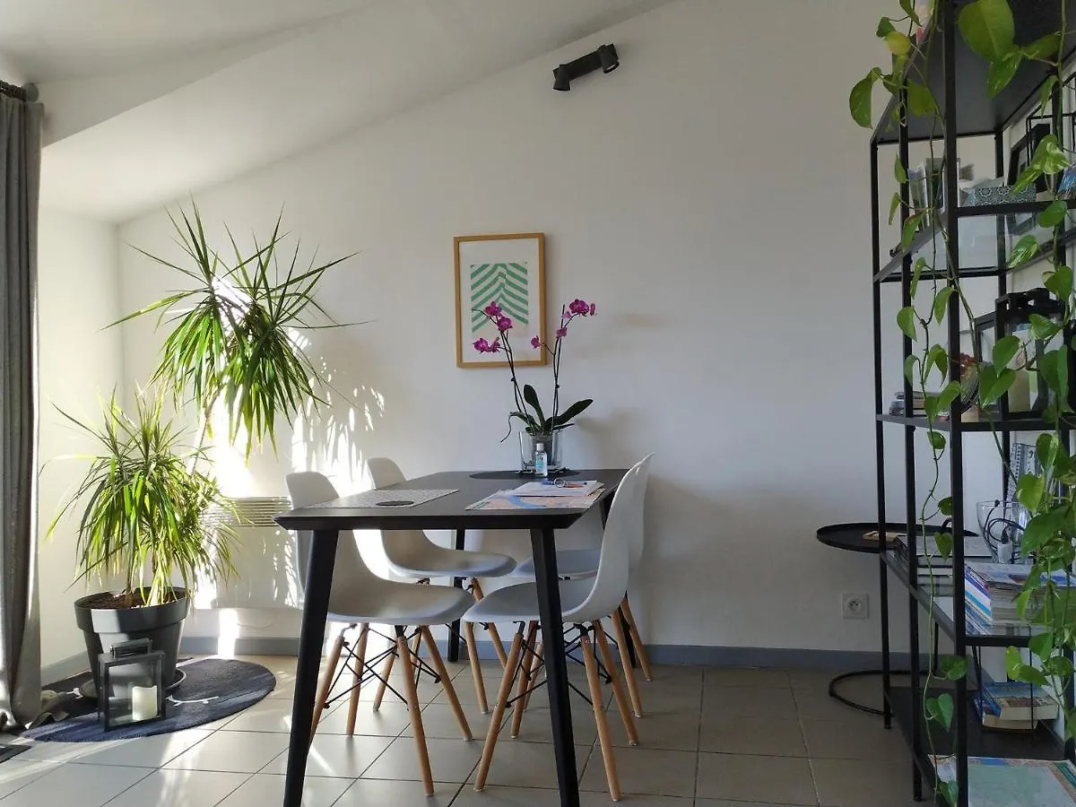 Apartment Charming Duplex With Terrace Historical City Center Arles France